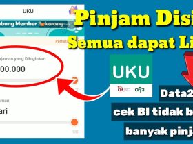 Pinjaman Online UKU Solusi Keuangan Modern Tanpa KTP