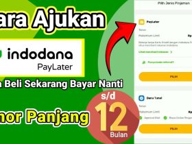 Indodana Pinjaman Online Cepat Cair Tanpa KTP