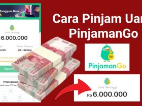 PinjamanGo Solusi Pinjaman Online yang Praktis dan Efisien
