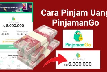PinjamanGo Solusi Pinjaman Online yang Praktis dan Efisien
