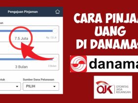 Danamas Pinjaman Online Cepat dan Terpercaya